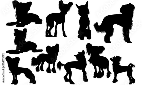 Download Chinese Crested Dog Svg Files Cricut Silhouette Clip Art Vector Illustration Eps Black Dog Overlay Stock Vector Adobe Stock
