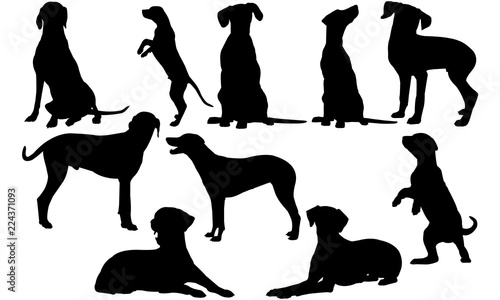 Download Dalmatian Dog Svg Files Cricut Silhouette Clip Art Vector Illustration Eps Black Dog Overlay Stock Vector Adobe Stock