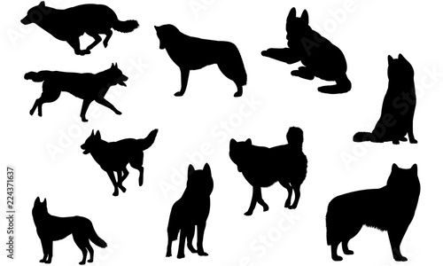 Download Siberian Husky Siberian Huskydog Svg Files Cricut Silhouette Clip Art Vector Illustration Eps Black Dog Overlay Stock Vector Adobe Stock