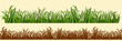 © westamult - cartoon grass in a row in two variations