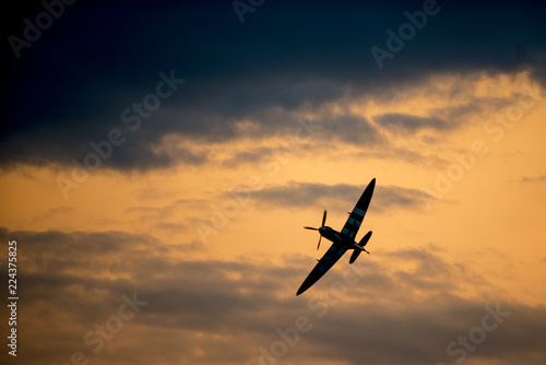 Spitfire Slika na platnu