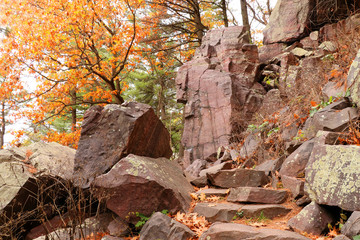 Wall Mural - wisconsin ice age nature background. autumn view with ice age hiking trail with colorful trees and s