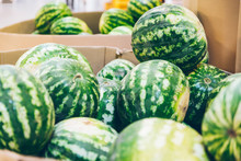 Watermelons At Store Close Up