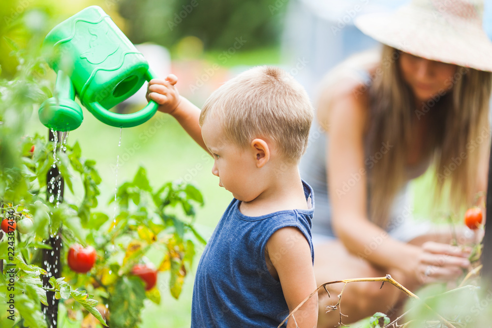 Cute toddler helphing mom in the garden Stock Photo | Adobe Stock