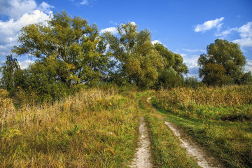 road in the field, ukraine