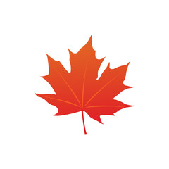 maple leaf logo icon design template vector
