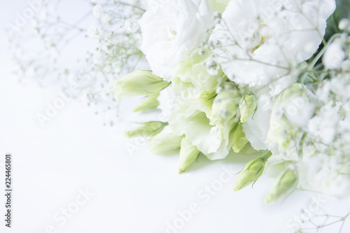 トルコキキョウ　花束 © akira_photo