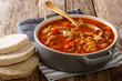 Delicious American cuisine Brunswick stew made from meat with vegetables, spices and barbecue sauce close-up. horizontal