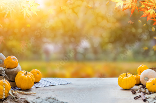 Fotomural Thanksgiving background in autumn. Fall harvest cornucopia season