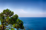 Fototapeta Na ścianę - Seascape, clear sky. Summer panorama, green vegetation. Calm sea.