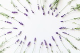 Fototapeta Lawenda - Flowers composition. Frame made of fresh lavender flowers on white background. Lavender, floral background. Flat lay, top view, copy space