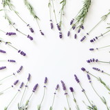 Fototapeta Lawenda - Flowers composition. Frame made of fresh lavender flowers on white background. Lavender, floral background. Flat lay, top view, copy space, square 
