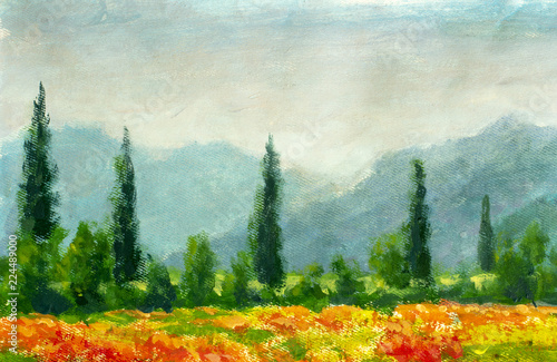 Summer Red Poppies Roses Tulips Flowers In Green Grass Field