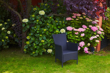 Rattan Chairs In Blooming Garden