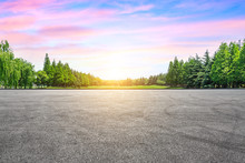 Empty Asphalt Road And Green Woods At Sunset