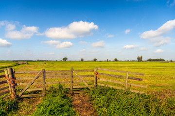 Wall Mural - Picturesque Dutch polder landscape with wooden gate in foreground