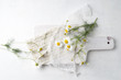 © Westend61 - Still life with chamomile flowers