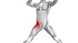 © high_resolution - Conceptual hip human anatomy with red hot spot inflammation articular joint pain for leg health care therapy or sport muscle concepts. 3D illustration man arthritis or bone sore osteoporosis disease