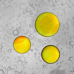 Wall Mural - Abstract macro shot of oil drops on water

