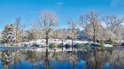 Canvas Print - Park in Winter 