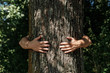 © Aliaksandr Marko - Human hands hug, wrap a tree. Contact man and nature, the concept of ecology. Productivity. Symbiosis