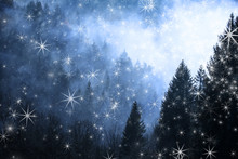 Winter Cloudy Forest Landscape With Abstract Snowflakes.