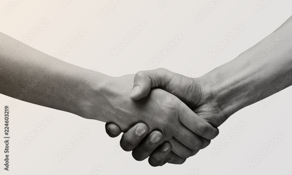 Business agreement handshake on white background. Black and - obrazy, fototapety, plakaty 