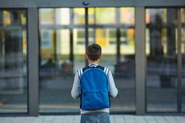 Schoolboy stands in front of the school door