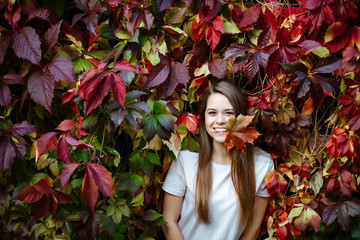 Autumn concert. Portrait of a young positive girl with long hair and a white t-shirt on the background of bright red leaves. A pretty model looks into the camera holds a maple leaf in her teeth.  