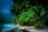 Fototapeta Na drzwi - View of a jungle beach on Pele Island, a tiny tropical island with deserted beaches off the north coast of the island of Efate in Vanuatu, in the South Pacific, during a thunderstorm