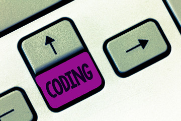 word writing text coding. business concept for assigning code to something for classification identi