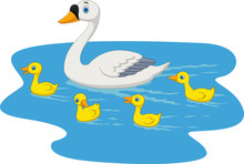 Cartoon Swan Family Swimming In The Pond