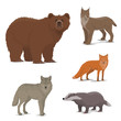Wild forest animals fox, badger, lynx, bear icons