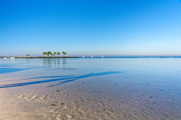 Clear reflective water with reeds in the background