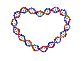 DNA strand in form of heart. 3D rendering illustration.