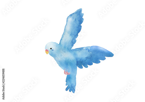 青い鳥 水彩イラスト Stock Illustration Adobe Stock