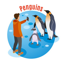 Wall Mural - Photo With Penguins Background