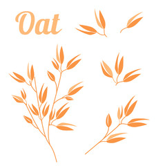 Wall Mural - Cereal plants, agriculture industry organic crop products for oat groats flakes, oatmeal packaging design.