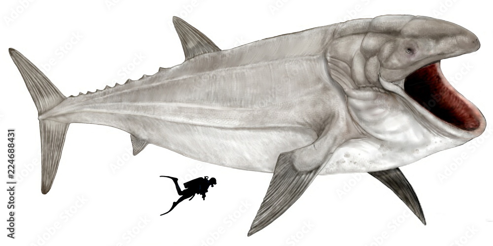 Illustration Stock 古代魚 リードシクテス。ジュラ紀中期に生息した