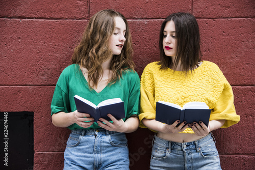 Fotografie, Obraz Two lovely hipster woman are standing against a red wall with books in their hands