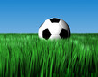 Fußball im hohen Gras