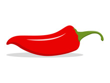 Red Hot Natural Chili Pepper Illustration. Design For Grocery, Culinary Products, Seasoning And Spice Package, Recipe Web Site Decoration, Cooking Book. Vector Icon