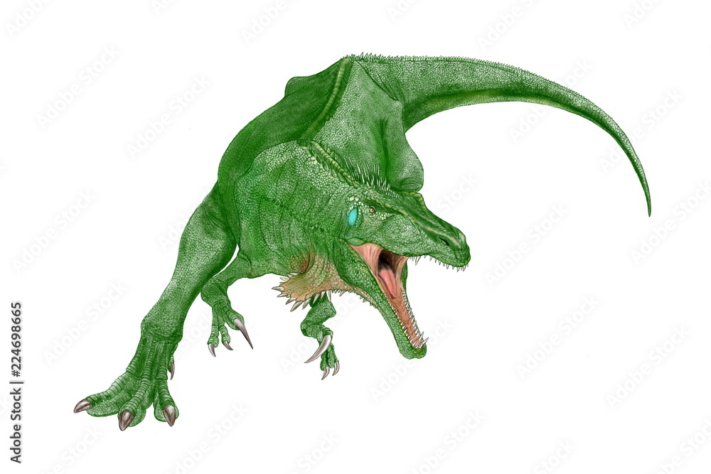 恐竜 アウストラロベナトル。オーストラリアの白亜紀後期の地層から