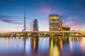 Fototapete - Tokyo, Japan skyline on the Sumida River