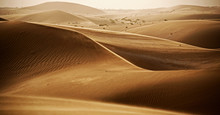 Desert In Emirates