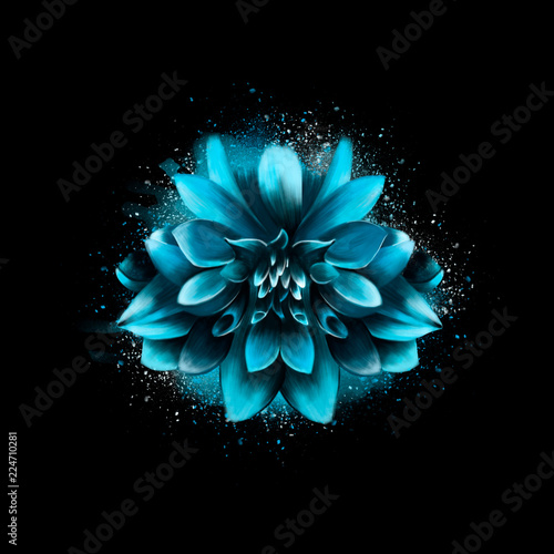 Blue Aster Flower On A Black Background With Spray Paint In The Background Stock Illustration Adobe Stock