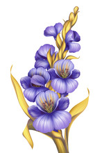 Decorative Flower, Botanical Illustration, Vertical Twig, Clip Art Element Isolated On White Background