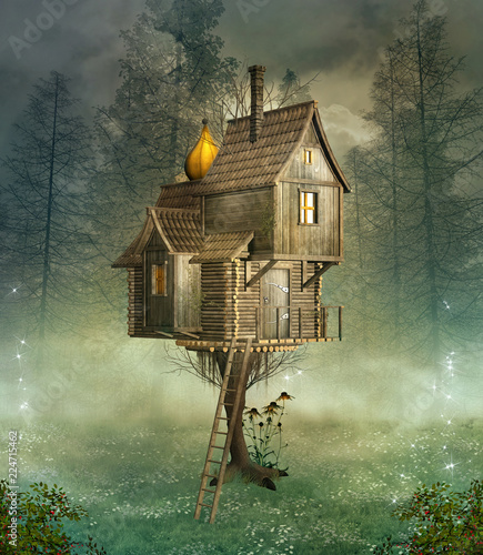 Plakaty do pokoju dziecka fantasy-bizarre-house-in-a-foggy-forest