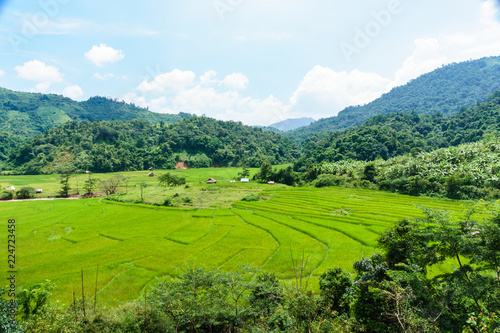 Fotografia Rice fields in the mountain valley. Laos.