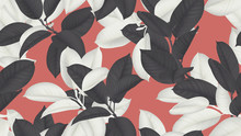Floral Seamless Pattern, Black And White Ficus Elastica / Rubber Plant On Red Background